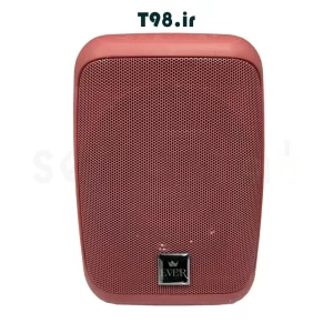 خرید اسپیکر قابل حمل بلوتوثی اور مدل EVER-718 در فروشگاه اینترنتی لپ تاپ سپنتا T98.ir
